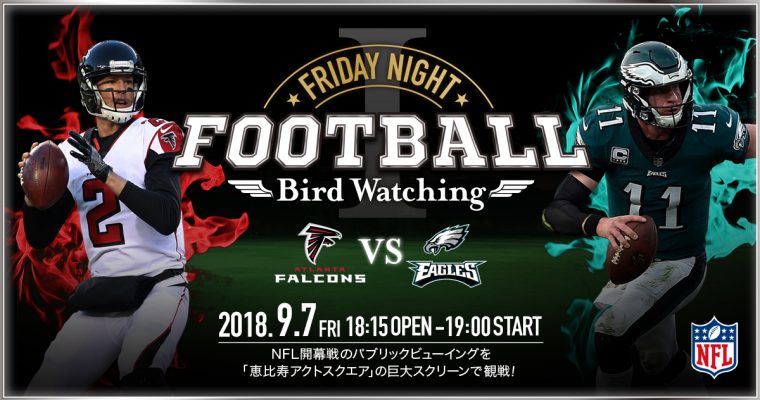 NFL 第33回スーパーボウル 観戦記念チケット