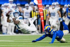 【確認用】デトロイトライオンズ lions-300x225.jpg